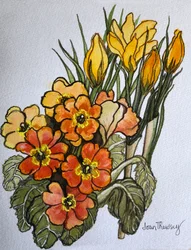 Krokus und Primeln